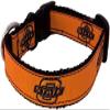 College Dog Collar (Large, Oklahoma State) view 1