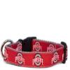 College Dog Collar (Medium, Ohio State) view 1