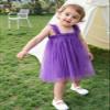 AGQT Toddler Girls Tulle Dress Sleeveless Kids Princess Birthday Tutu Dresses Party Layered Dress Purple Size 3-4T view 4