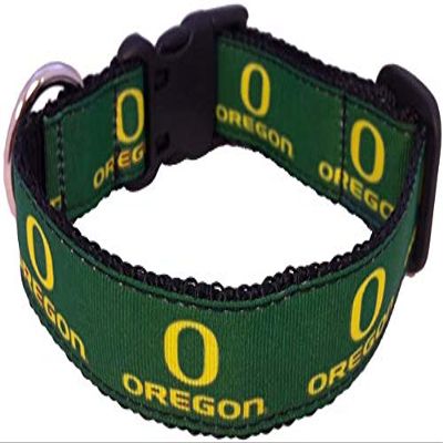 College Dog Collar (Medium, Oregon)