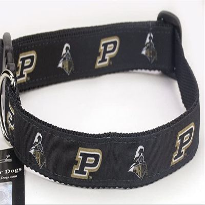 College Dog Collar (Large, Purdue)