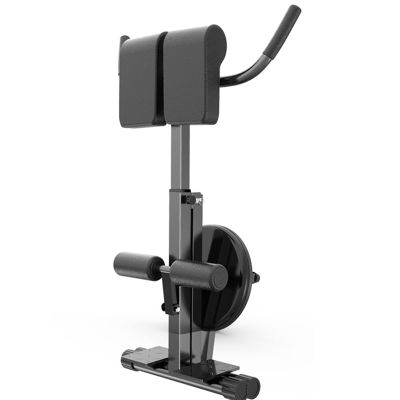 WAHHWF Hyperextension Bench Roman Chair Back Extension Machine - Adjustable and Foldable Back Extension Bench, Home Gym Abdominal Workout Equipment