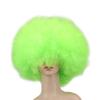 Afro Wig Human Hair Afro Curly Wig Rainbow Clown s for Adults Kids s Boys Mermaid Hair Accessories Adult Clown Costume for Women Human Hair Afro Apparel Prom Miss view 1