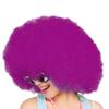 Clown Wig for Women Clown Wig for Adult for Men Hair view 4