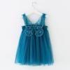 Toddler Girls Short Sleeve Dresses Kids Cartoon Dinosaur Floral Printed Tulle Summer Dresses Little (Blue, 6-12 Months) view 4