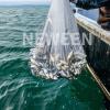 Neween Cast Net for Fishing with Shrimp Cage, American Freshwater Saltwater 4/5/6/7/8Ft Radius Casting Bait Trap Fish, Heavy Duty Zinc Sinker, 3/8 Inch Mesh Size view 3