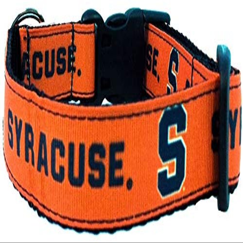 College Dog Collar (Medium, Syracuse)