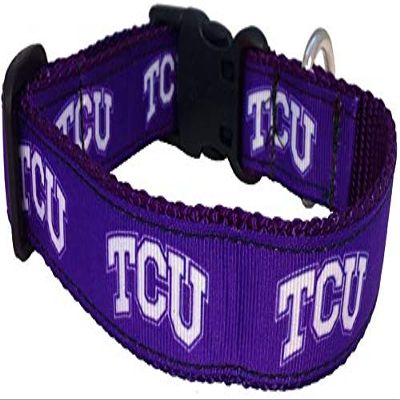 College Dog Collar (Large, TCU)