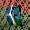 Marucci MV463 2.0 YOUTH SUNGLASSES view 2