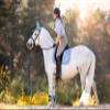 Equestroom Suede Moonstone Blue English Saddle Pad with Silver Piping | Jump Shape Saddle Pad | Dressage Shape Saddle Pad | Matte Blue Saddle Pad for Horseback Riding Dressage Full view 3