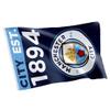 Desert Cactus Manchester City Flag Man City MCFC Football Soccer 100% Polyester Indoor Outdoor 3x5 feet Banner (Flag 3) view 1