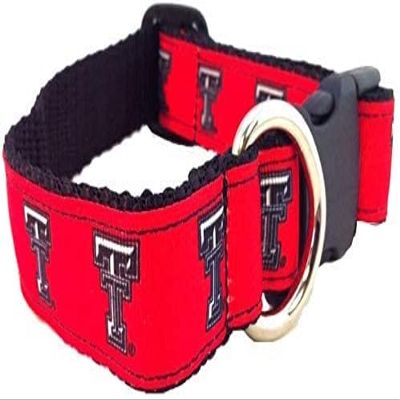 College Dog Collar (Extra Small, Texas Tech)
