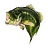 Fish Largemouth Bass Precision Cut Decal (6"w X 5.2"h) view 1