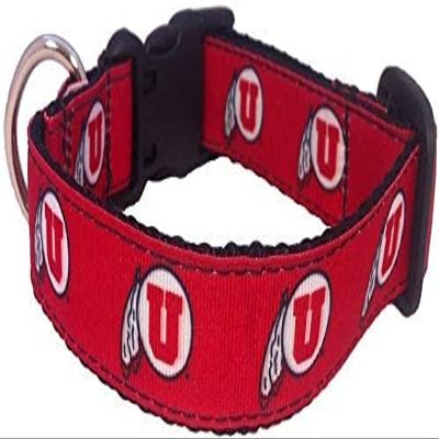 College Dog Collar (Medium, Utah)