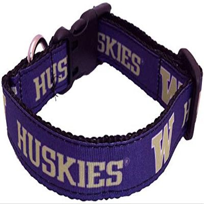 College Dog Collar (Large, Washington)