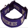 College Dog Collar (Large, Washington) view 1
