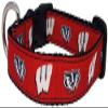 College Dog Collar (Large, Wisconsin) view 1