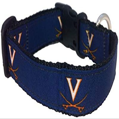 College Dog Collar (Medium, Virginia)