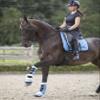 Equestroom Baby Blue Overreach Fur Horse Bell Boots - Durable and Long-Lasting Protection, Heavy-Duty, Shock-Absorbing Pony view 3