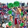 4Pcs Metallic Cheerleading Pom Poms, Creatiee 2 Pair Cheerleader Cheering Squad Pompoms for School Sports Dance Games Team Spirit Cheer (Green) view 4
