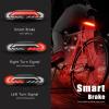 WSDCAM Smart Bike Tail Light with Turn Signals & Brake Light - Auto ON/Off, Bike Horn Alarm with Remote, USB C Rechargeable Tail Light view 3