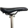 Birdy Bicycle Seat Post of Titanium 34.9mm Balance Seat Pillar for Folding Bike Lightweight 550mm Length and Extended 580mm Suitable for Regular Saddles 7*7 and 7*9mm (580, Titanium Silver Color) view 1