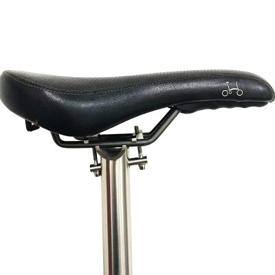 Birdy Bicycle Seat Post of Titanium 34.9mm Balance Seat Pillar for Folding Bike Lightweight 550mm Length and Extended 580mm Suitable for Regular Saddles 7*7 and 7*9mm (550, Mirror Polished Color)