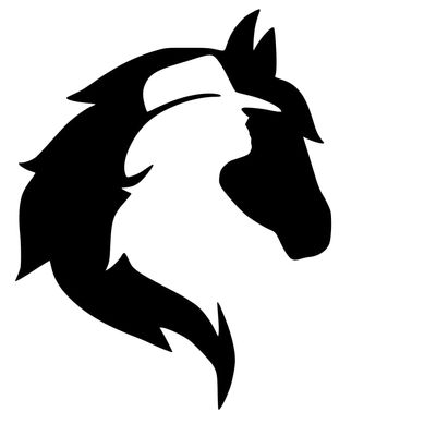 Arabian Horse Design #2 Vinyl Decal Sticker Car Window Bumper Cup Horseshoe Western Cowboy (Height: 5", Gold)