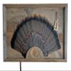 Reclaimed Barnwood Shadowbox Display for Tail, Beards, and Spurs - BnM Design view 1