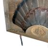 Reclaimed Barnwood Shadowbox Display for Tail, Beards, and Spurs - BnM Design view 2