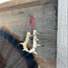 Reclaimed Barnwood Shadowbox Display for Tail, Beards, and Spurs - BnM Design view 4