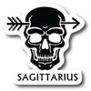 Sagittarius 3 Inch Waterproof Decal Sticker Zodiac Astrology Signs Horoscope Chakra Creepy Skeleton Gothic Goth Grunge Halloween Castle Skull Animal Karma Ouija Spooky Tarot Oracle Palm Psychic Birth Month CS1449-2PK view 1