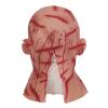 MioCloth Creepy Bald Head Zombie Mask for Men Women Halloween Party Props Horror Costume Scary Cosplay Headwear Ghost Devil Mask Decor view 2