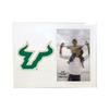 The Fanatic Group South Florida Bulls 4 x 6 Glass Photo Frame view 1