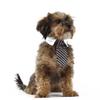 Mipcase Pet Bow Tie for Dogs Collar Tie with Self Adhesive Tape Comfortable and Adjustable Neckwear for Medium Large Dogs view 4
