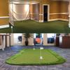 Shuonuo Pro Putting Green Artificial Grass Golf Turf - 1FTX14FT Indoor Outdoor Golf Training Mat, Astroturf Synthetic Fake Grass for Baseball Football Gym Sports view 2