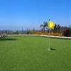 Shuonuo Pro Putting Green Artificial Grass Golf Turf - 1FTX14FT Indoor Outdoor Golf Training Mat, Astroturf Synthetic Fake Grass for Baseball Football Gym Sports view 3