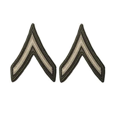 Insignia Depot US ARMY PVT AGSU CHEVERON SMALL/FEMALE