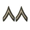 Insignia Depot US ARMY PVT AGSU CHEVERON SMALL/FEMALE view 1
