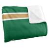 Wright State University Blanket, 50"x60" Primary Logo, Silky Touch Super Soft Throw Blanket view 3