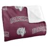 Fordham University Blanket, 36"x58" Logo Pattern, Silky Touch Super Soft Throw Blanket view 3