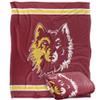 Northern State University Blanket, 50"x60" Primary Logo, Silky Touch Super Soft Throw Blanket view 1
