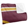 University of Charleston Blanket, 50"x60" Primary Logo, Silky Touch Super Soft Throw Blanket view 3
