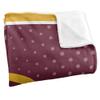 University of Charleston Blanket, 50"x60" Logo Dots, Silky Touch Super Soft Throw Blanket view 3