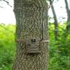 Muddy Manifest 2.0 Cellular Trail Camera, Quick Scan QR Code, 16 MP, AT&T and Verizon, Stealth Cam Command APP, Brown view 2