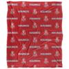 Radford University Blanket, 50"x60" Logo Pattern, Silky Touch Super Soft Throw Blanket view 2