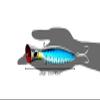 Saltwater Popper Style Fishing Lure - 5.5 inch Floating, Top Water, with Premium Thick Wire Hooks, Realistic 3D Eyes for Saltwater Fishing Striped Bass and Game Fish view 2