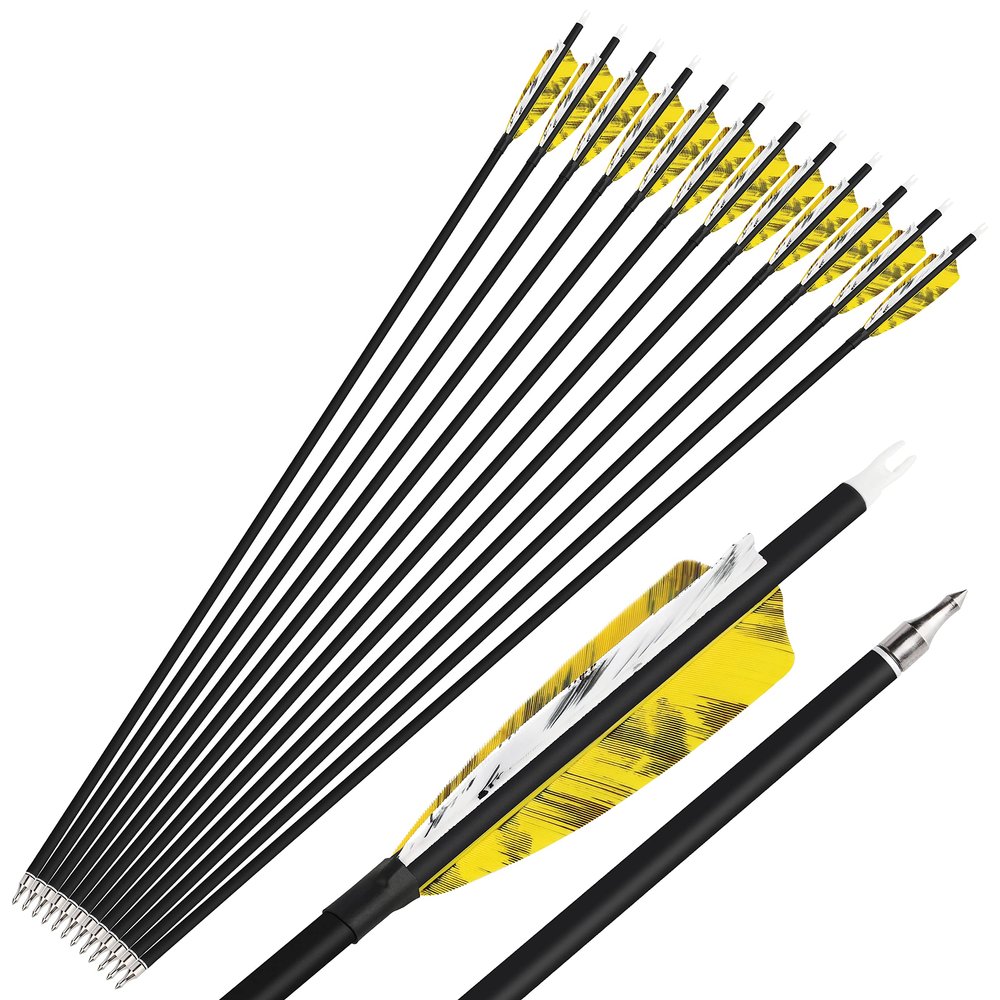 SHARROW 6/12 Pcs Archery Carbon Arrows 500 Spine Practice Hunting Arrows 28/30/31 Inch with 4 Turkey Feather 100 Grain Removable Field Tips for Compound and Recurve Bow (28 inch, Yellow, 6)