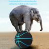 Standard 5/6/7 Basketball, Non-Slip and Wear-Resistant Microfiber Suede, No Logo Ball, Suitable As A Signature, Gift,White Edge,No. 6 view 4