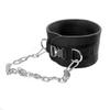 HemeraPhit Pull-up Belt Weighted Dip Belt with Chain Double D-ring Weightlifting Back Support Strap Home Gym Equipment Waist Belt (with metal buckle) view 1